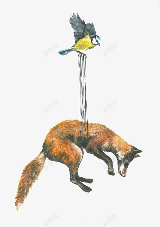 创意动物插画png免抠素材_88icon https://88icon.com 创意 手绘动物 搞笑 狐狸 鸟