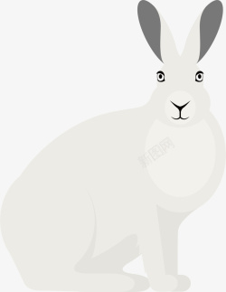 白色兔子矢量图素材