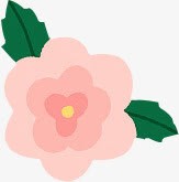 手绘水彩粉色花朵插图装饰素材