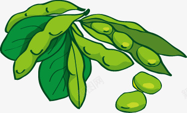 荷兰豆png免抠素材_88icon https://88icon.com 荷兰豆 蔬菜 食品