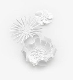 白色花瓣背景素材