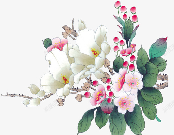 中国风手绘花卉png免抠素材_88icon https://88icon.com 中国风 古风 手绘素材 花卉 花朵