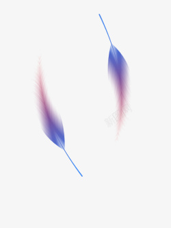 蓝紫色羽毛渐变色羽毛元素高清图片
