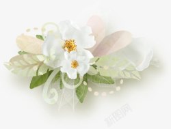 白色花朵花瓣浪漫装饰素材