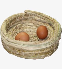 两个鸡蛋在里面的鸟窝素材