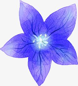 紫色唯美手绘花朵牵牛花素材