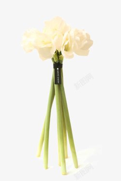 三只绿颈白色花卉软装素材