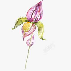 手绘水彩花卉装饰图案素材