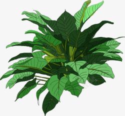 手绘卡通绿色的植物树叶素材