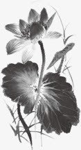 创意中国风笔墨植物花朵素材