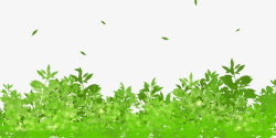 春天插画手绘水彩绿树植物装饰插素材