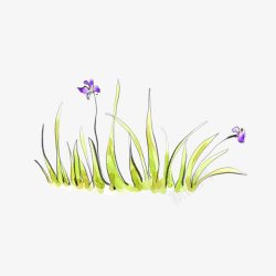 彩绘兰花素材