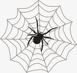 蜘蛛网上的蜘蛛素材