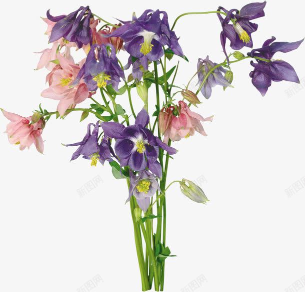 一束鲜花png免抠素材_88icon https://88icon.com 清新 粉色花朵 紫色花朵 花束