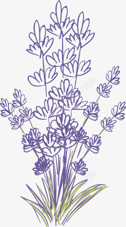 紫色扁平风格卡通薰衣草素材