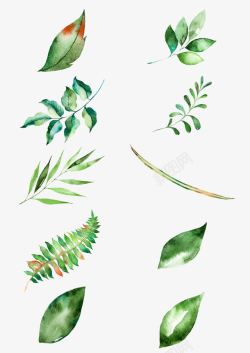绿色卡通手绘植物树叶素材