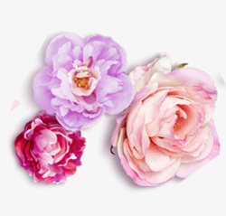 粉色三朵花装饰图案素材