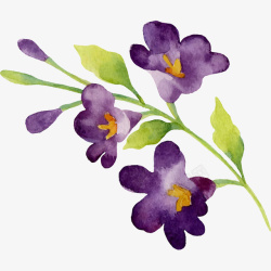 手绘紫色花素材