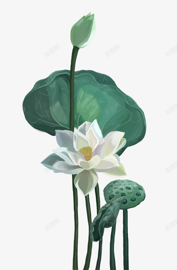 手绘莲花莲花png免抠素材_88icon https://88icon.com 手绘 手绘白莲花 荷花 莲花