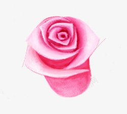 粉色完美玫瑰花朵素材