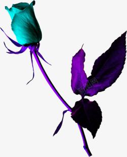 紫色卡通花朵效果素材