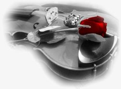 大提琴配玫瑰花素材