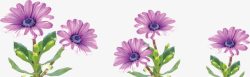 卡通海报紫色花朵效果素材