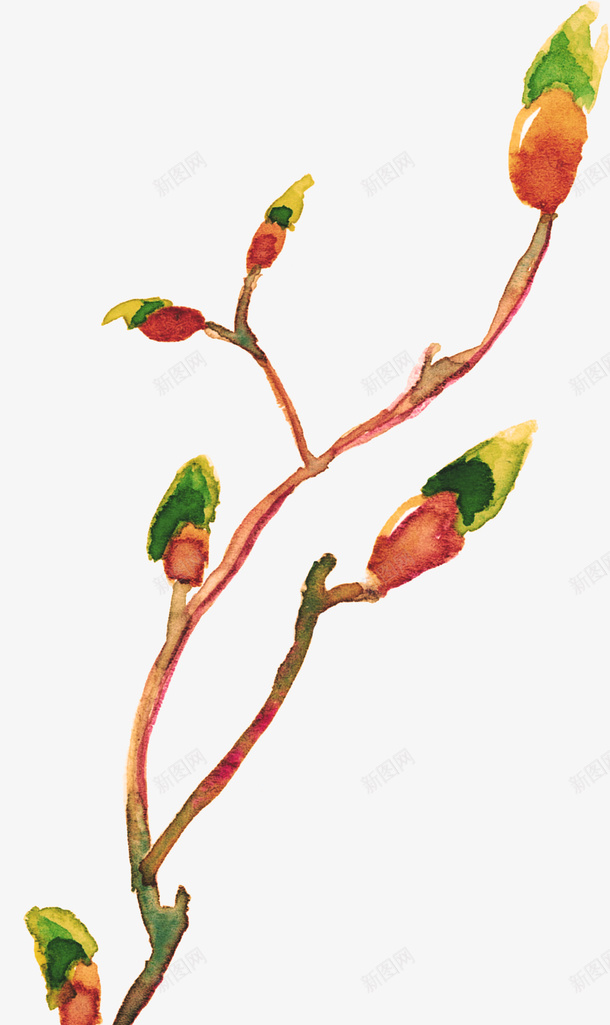 树枝上的花朵png免抠素材_88icon https://88icon.com png图形 png装饰 植物 花卉 花朵 装饰