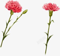 创意粉色植物教师节花朵素材