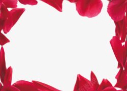 花瓣边框素材