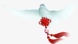 春天白鸽中国结手绘素材