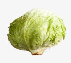 莴苣素材