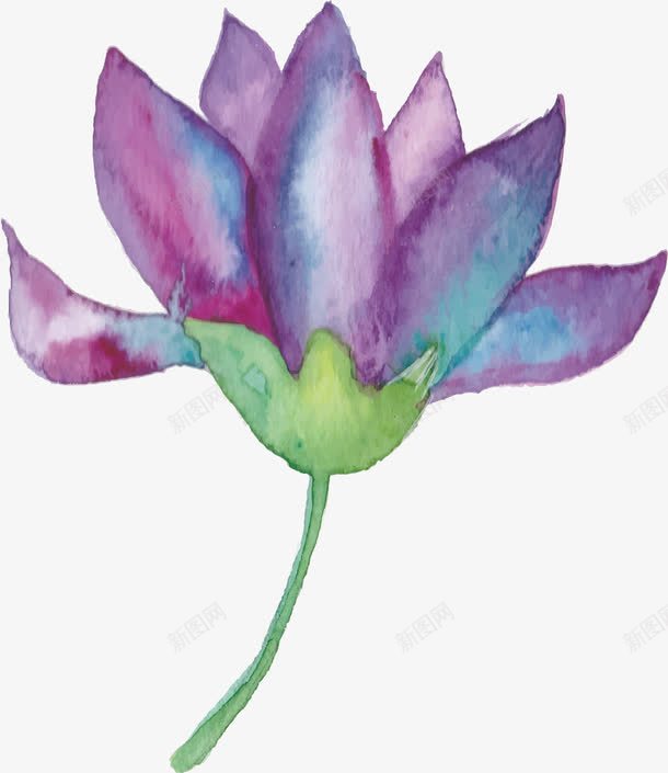 一朵蓝紫色的花png免抠素材_88icon https://88icon.com 一朵花 一枝花 水彩花朵 矢量png 蓝紫色 蓝紫色花朵