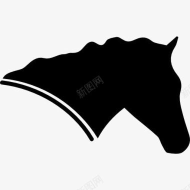 马方认为马的头侧面面对权利剪影图标图标