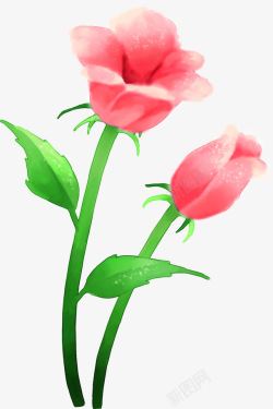 手绘粉色玫瑰盆栽海报素材