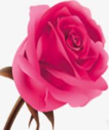 粉色梦幻玫瑰装饰素材