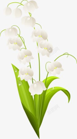 白色简约花朵植物素材