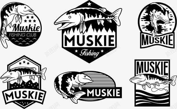 捕鱼自然野生动物png免抠素材_88icon https://88icon.com 动物 捕食 水产品 爱好 野生 食肉 鱼类