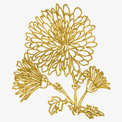 金色图案装饰花纹素材