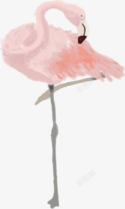 淡粉色水彩火烈鸟矢量图素材