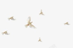 白色简约飞鸽装饰图案素材