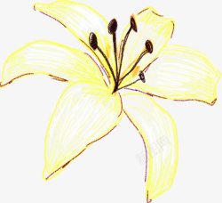 夏日黄色花朵海报花朵素材