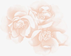 粉色朦胧花朵唯美素材