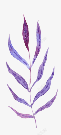 紫色的树叶子素材