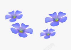 漂浮亚麻籽花素材