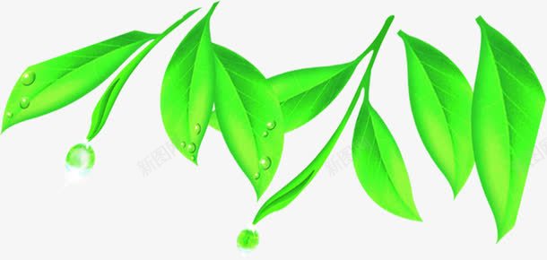 卡通植物绿色树叶效果png免抠素材_88icon https://88icon.com 卡通 效果 树叶 植物 绿色
