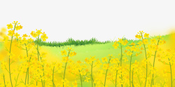 黄色春天油菜花背景图素材