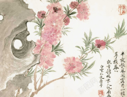 国画桃花素材
