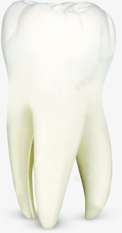 白色洁白假牙医疗素材