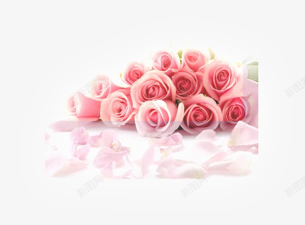 粉色玫瑰花朵礼物png免抠素材_88icon https://88icon.com 玫瑰 礼物 粉色 花朵
